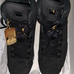 COPY - Jordan Retro DMP 6
